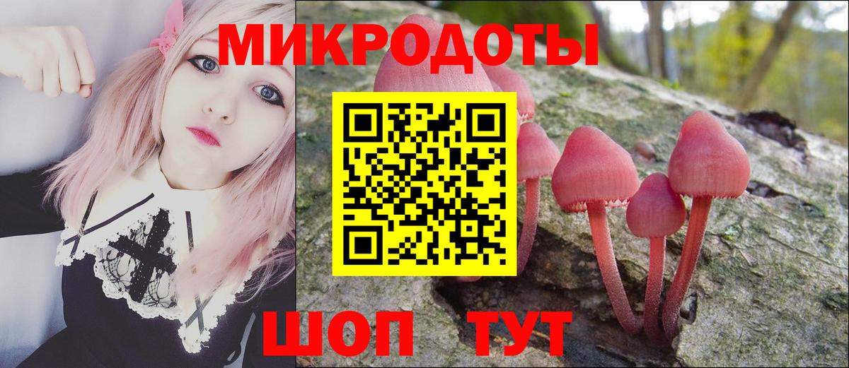 Галлюциногенные грибы GOLDEN TEACHER Партизанск