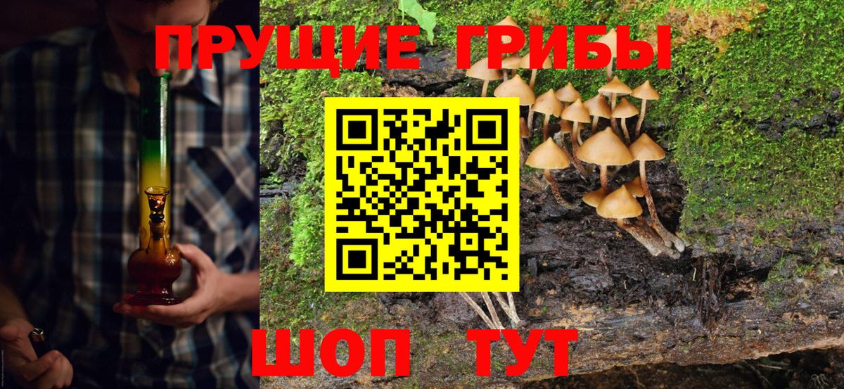 Партизанск  Галлюциногенные грибы MAGIC MUSHROOMS  Вход с VPN 